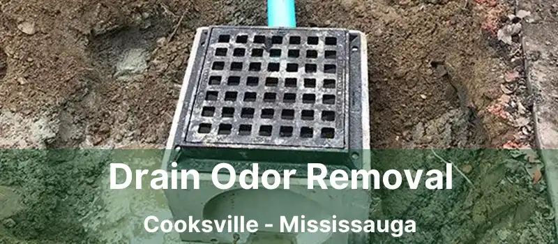  Drain Odor Removal Cooksville - Mississauga